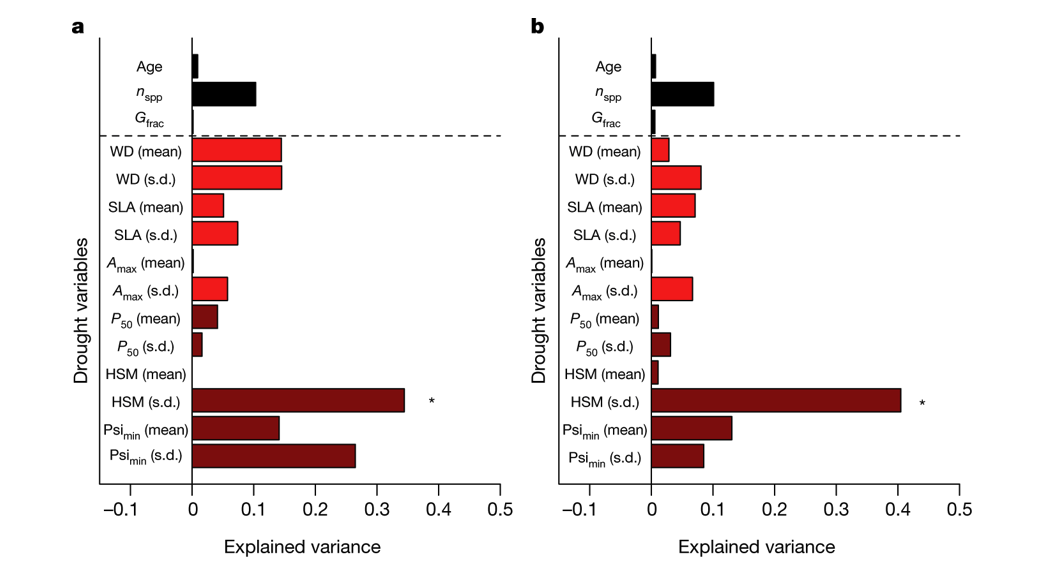 Figure 1. Hydraulic diversity of forests regulates ecosystem resilience during drought.png